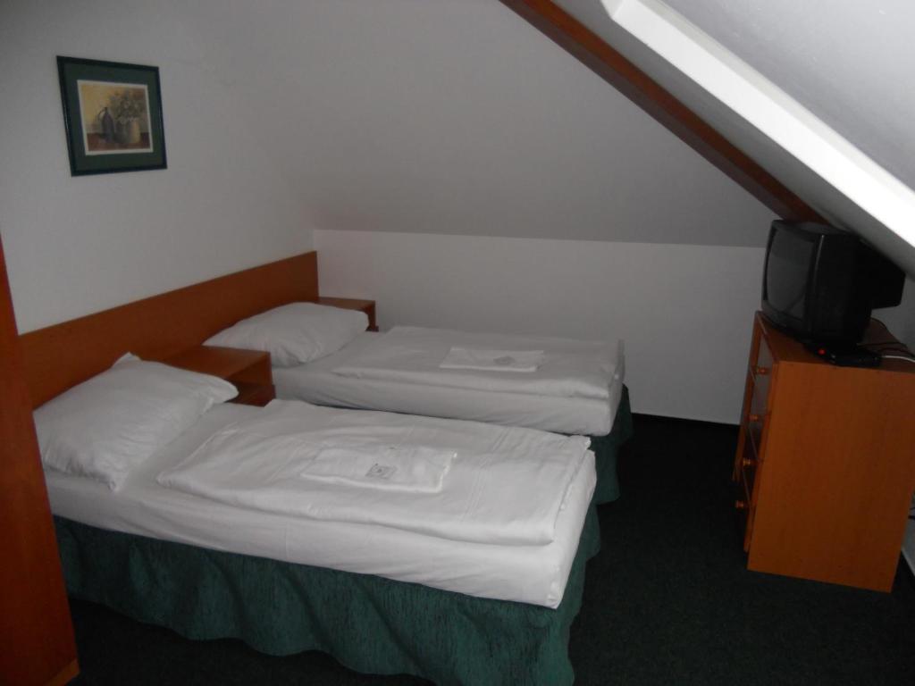 Penzion Oaza Štětí 部屋 写真