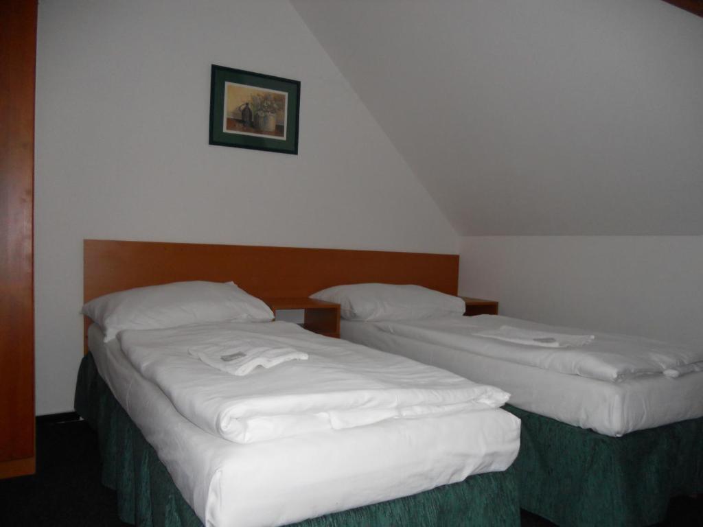 Penzion Oaza Štětí 部屋 写真